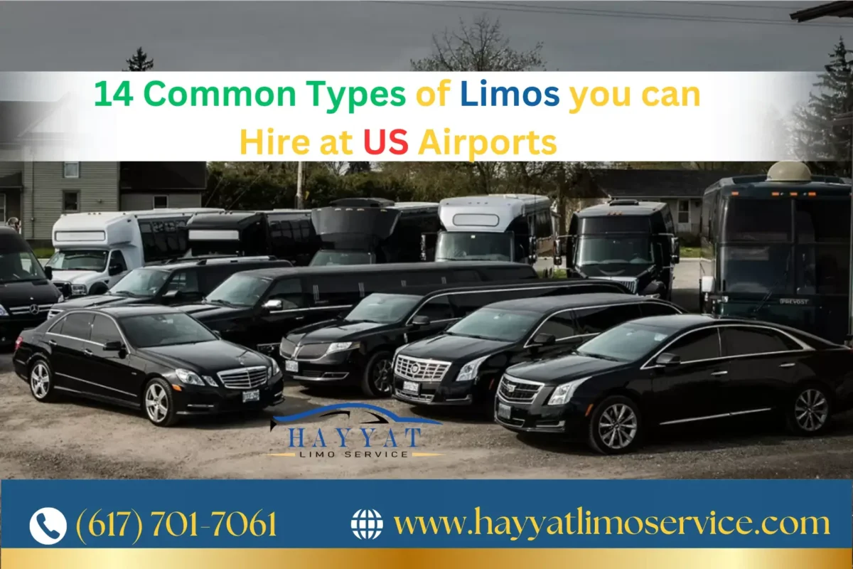 Luxury Limousines Airports